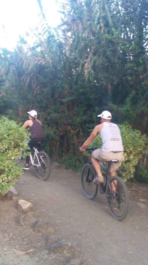 目贝韦夏营地山林小屋 - 纳库鲁湖 Elmenteita 外观 照片